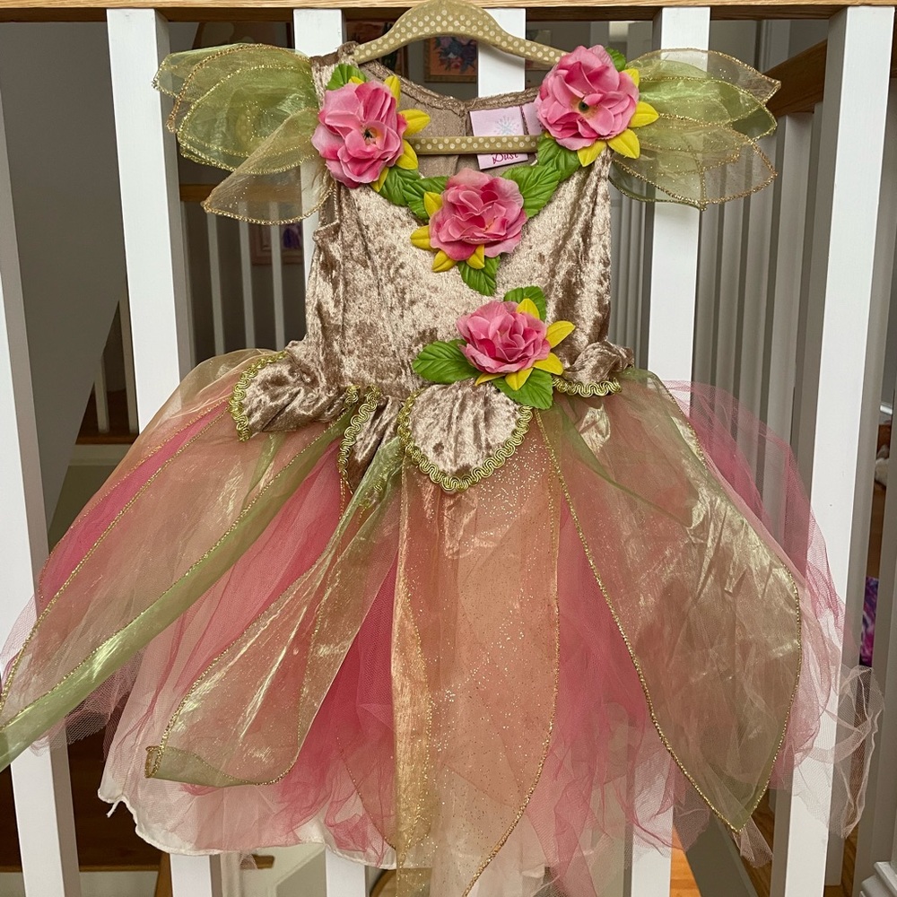 Fairy Princess Dress Toddler Costume